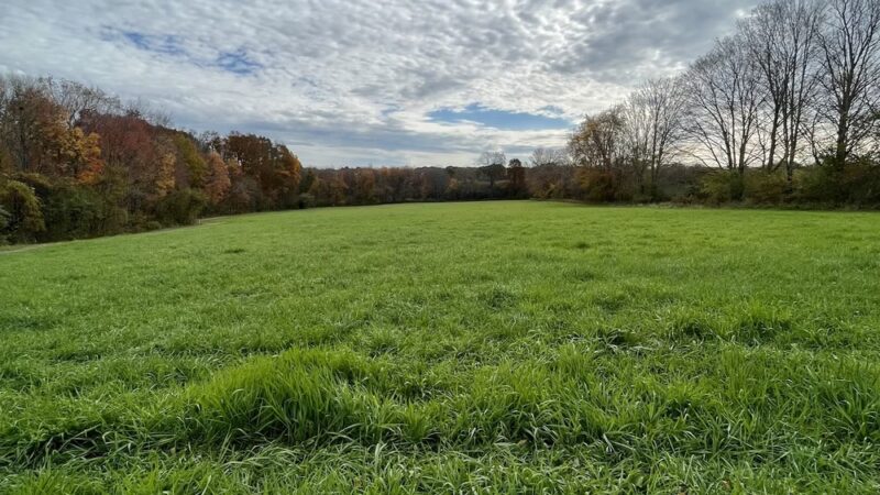 Hibbard Trail - Lebanon, CT