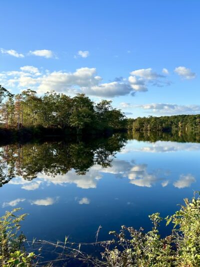 Lake Williams State Park - Lebanon, CT