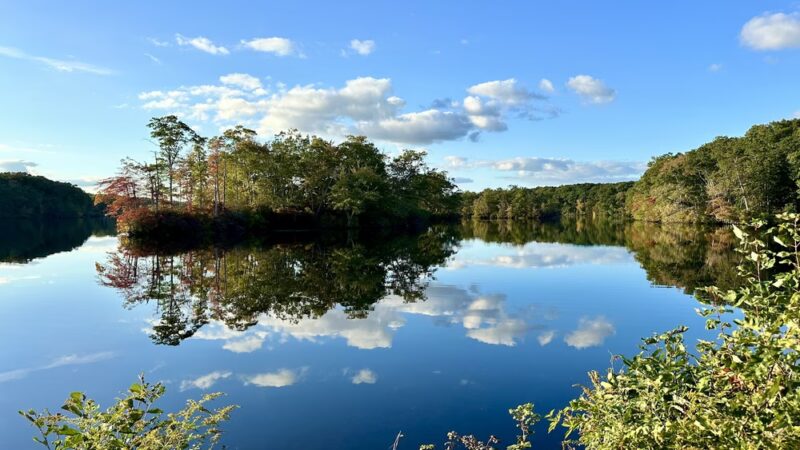 Lake Williams State Park - Lebanon, CT