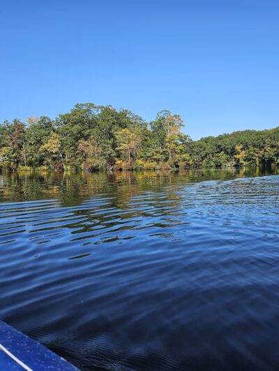 Lake Williams State Park - Lebanon, CT