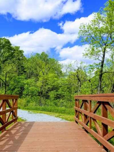 Red Cedar Lake Trailhead - Lebanon, CT