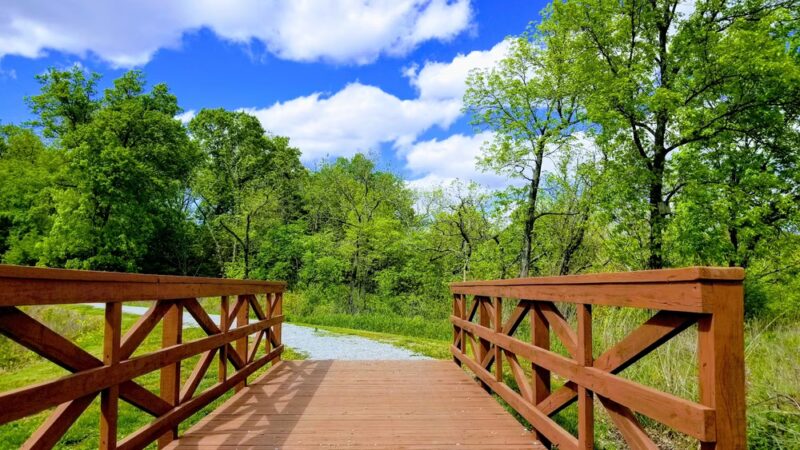 Red Cedar Lake Trailhead - Lebanon, CT