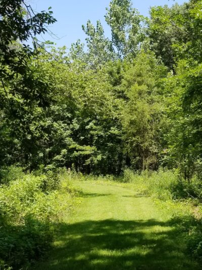 Red Cedar Lake Trailhead - Lebanon, CT