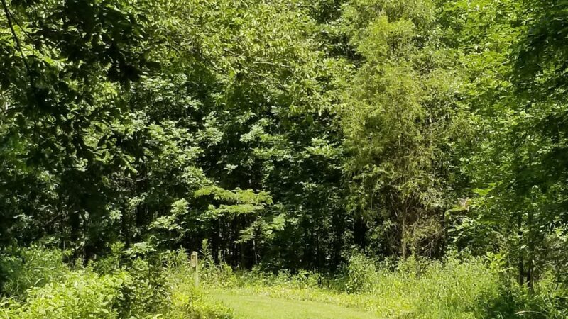 Red Cedar Lake Trailhead - Lebanon, CT