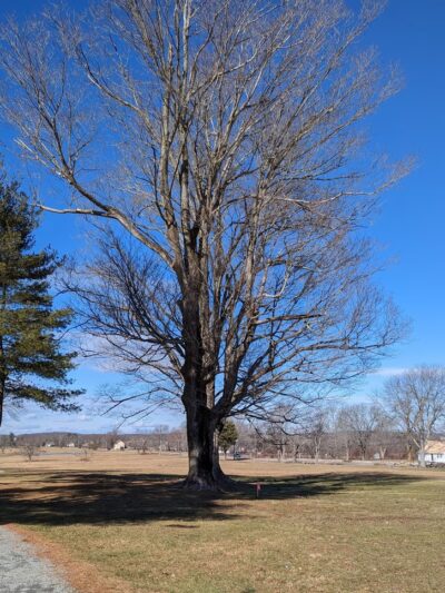 Lebanon Town Green - Lebanon, CT