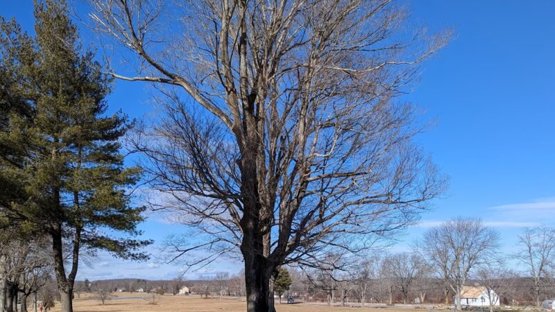 Lebanon Town Green - Lebanon, CT