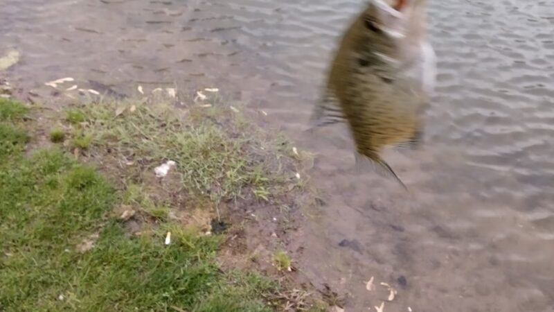 Hot Pond - Lebanon, IN