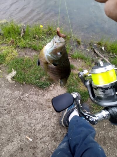 Hot Pond - Lebanon, IN