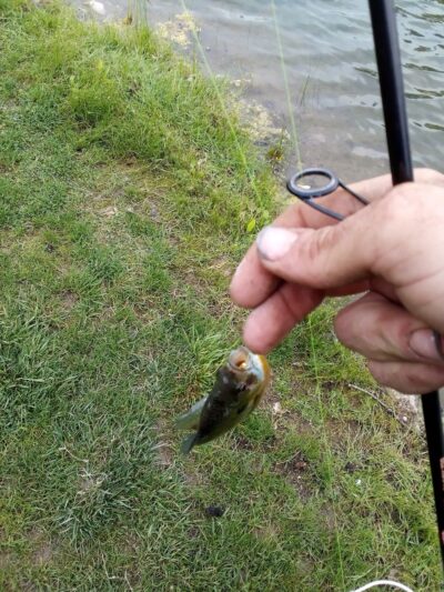 Hot Pond - Lebanon, IN