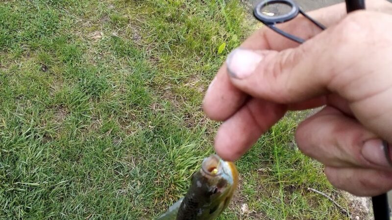 Hot Pond - Lebanon, IN