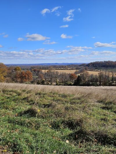 NJCF Open Space - Lebanon, NJ