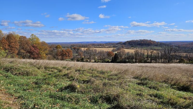 NJCF Open Space - Lebanon, NJ