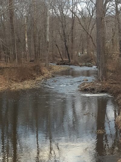 NJCF Open Space - Lebanon, NJ