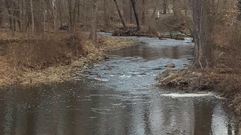 NJCF Open Space - Lebanon, NJ