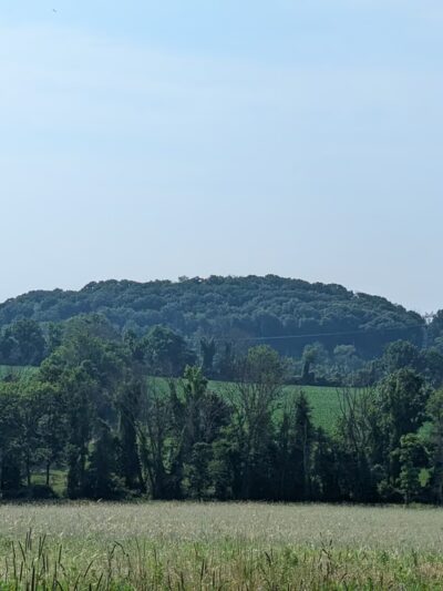 NJCF Open Space - Lebanon, NJ