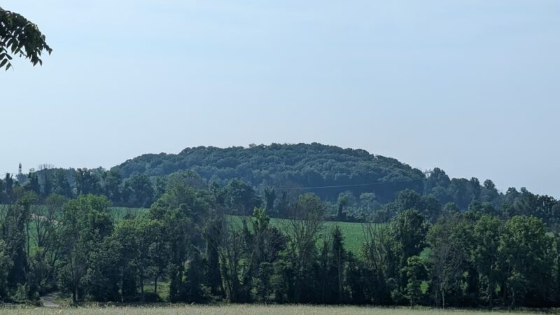 NJCF Open Space - Lebanon, NJ