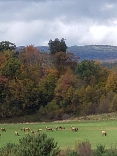 John E. Wengert Memorial Park - Lebanon, PA