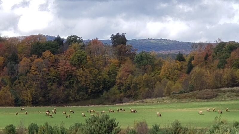 John E. Wengert Memorial Park - Lebanon, PA