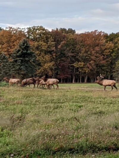 John E. Wengert Memorial Park - Lebanon, PA