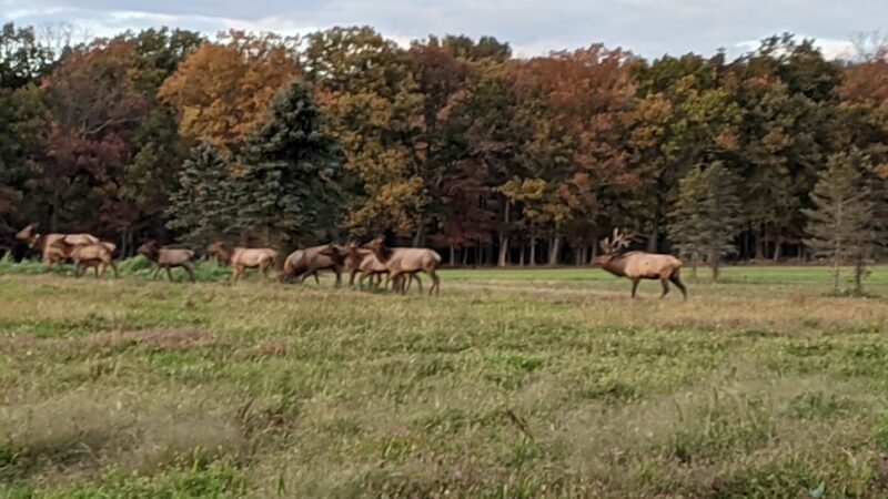 John E. Wengert Memorial Park - Lebanon, PA
