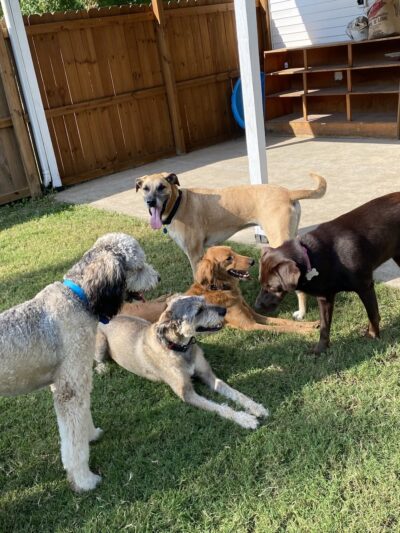 The Dog House - Lebo, KS