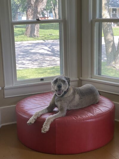 The Dog House - Lebo, KS