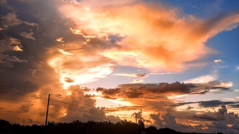 Lecanto Park - Lecanto, FL