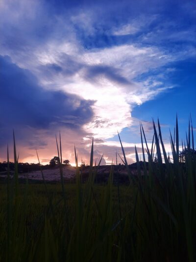 Lecanto Park - Lecanto, FL