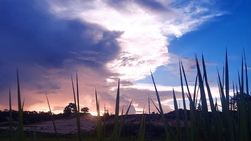 Lecanto Park - Lecanto, FL