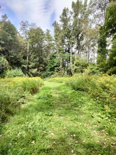 Golden Hill Town Forest Trailhead - Lee, MA