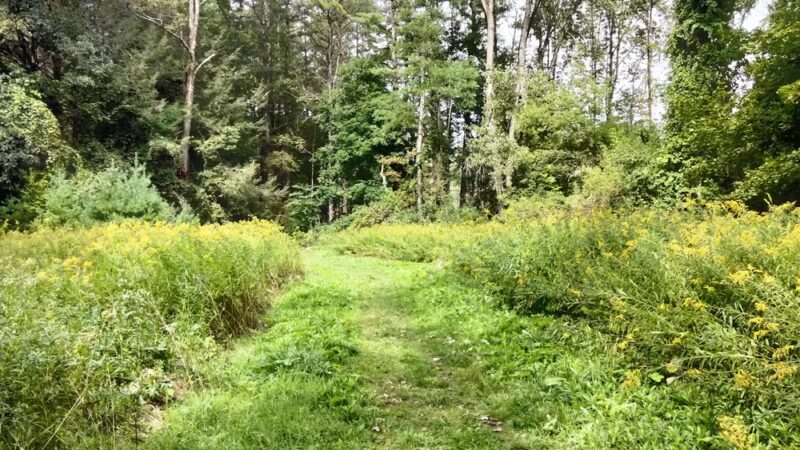 Golden Hill Town Forest Trailhead - Lee, MA