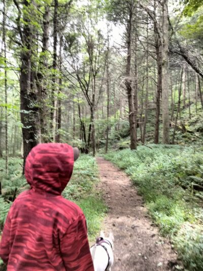 Golden Hill Town Forest Trailhead - Lee, MA
