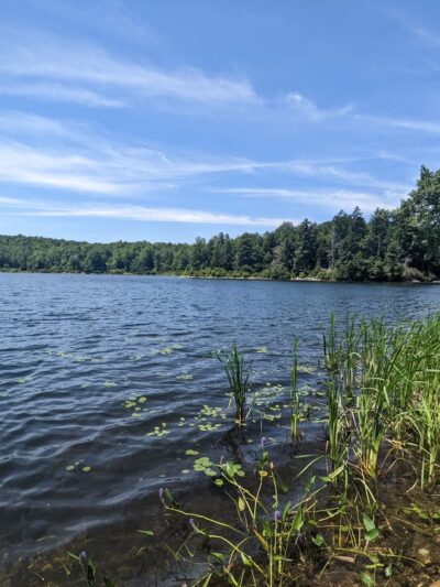 October Mountain State Forest - Lee, MA