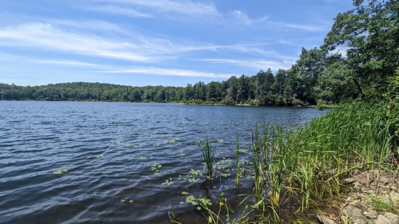 October Mountain State Forest - Lee, MA