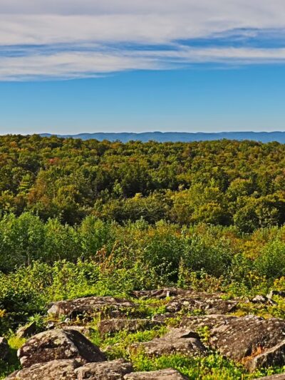 October Mountain State Forest - Lee, MA