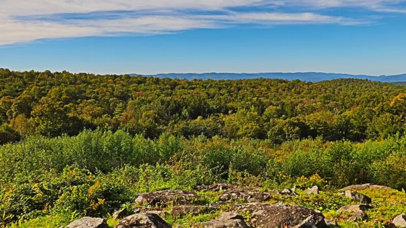 October Mountain State Forest - Lee, MA