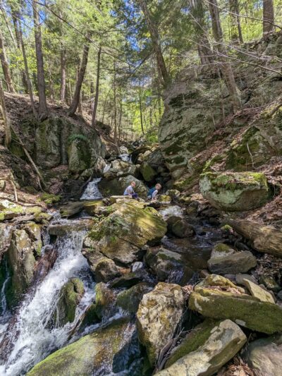 October Mountain State Forest - Lee, MA