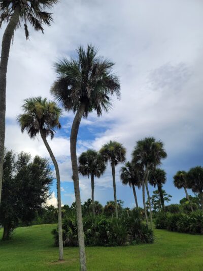 Lehigh Acres Trailhead Park - Lehigh Acres, FL