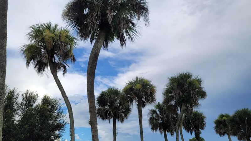Lehigh Acres Trailhead Park - Lehigh Acres, FL