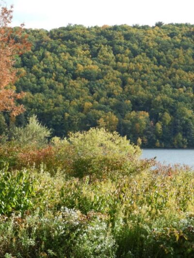 Beltzville Lake - Pine Run Boat Launch - Lehighton, PA