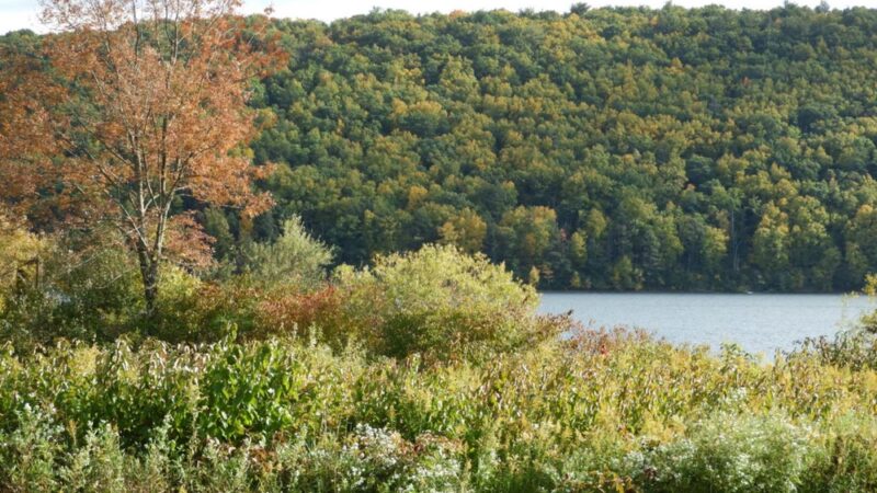 Beltzville Lake - Pine Run Boat Launch - Lehighton, PA