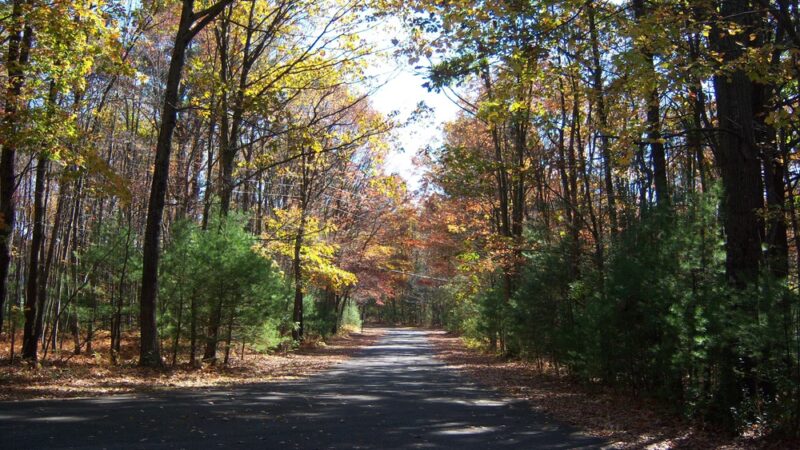 Beltzville State Park - Lehighton, PA