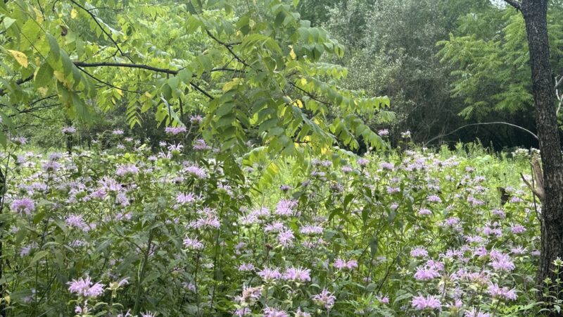 Christman Trailhead - Lehighton, PA