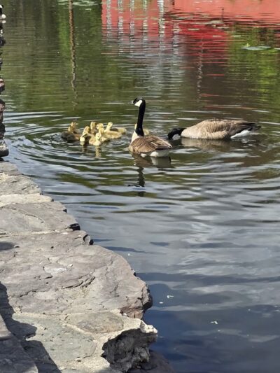 Lehigh Canal Park - Weissport - Lehighton, PA