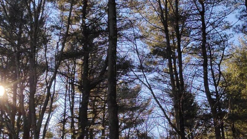 Lehighton Trailhead - D&L Trail Spur - Lehighton, PA