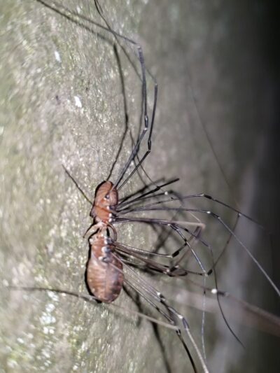 The ROCK D & L Trail - Lehighton, PA