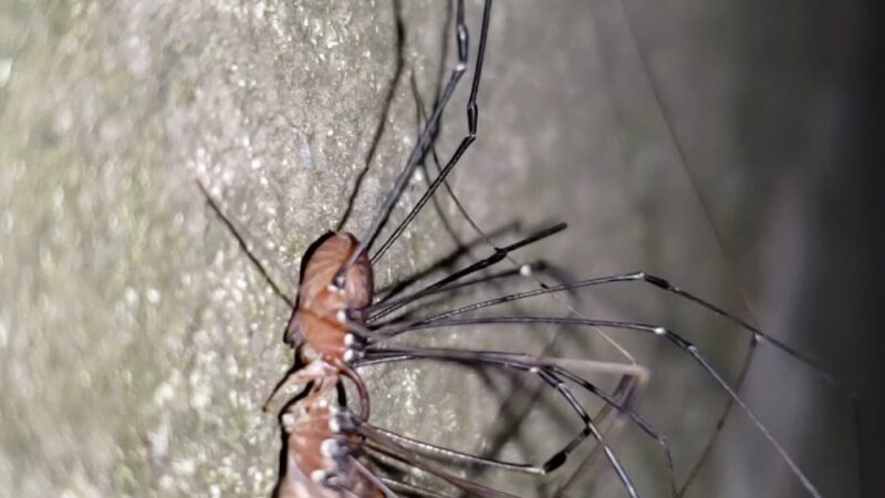 The ROCK D & L Trail - Lehighton, PA