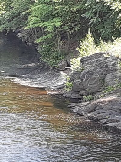 The ROCK D & L Trail - Lehighton, PA