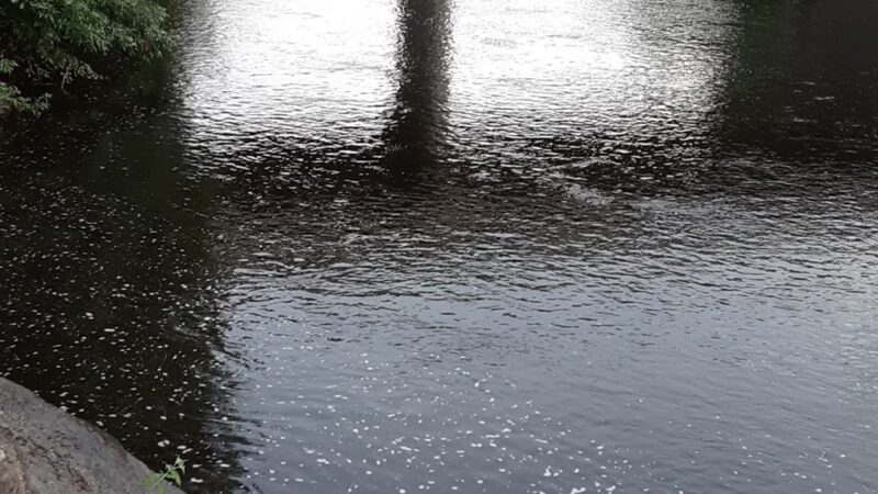 The ROCK D & L Trail - Lehighton, PA