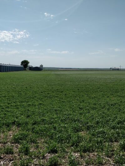 Lehr - Lehr, ND